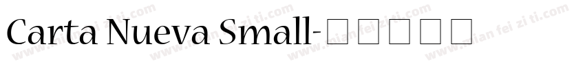 Carta Nueva Small字体转换
